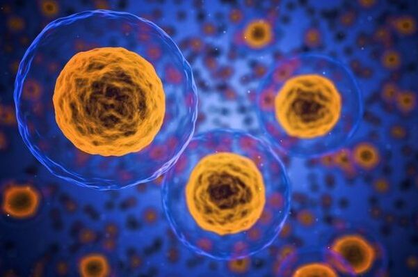 Jak przebiega proces odchudzania