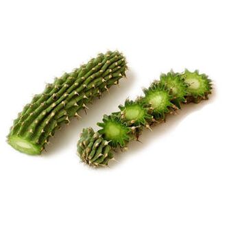 hoodia gordonia - skład Reduslim